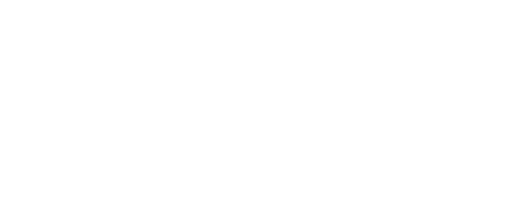 Induna Logo